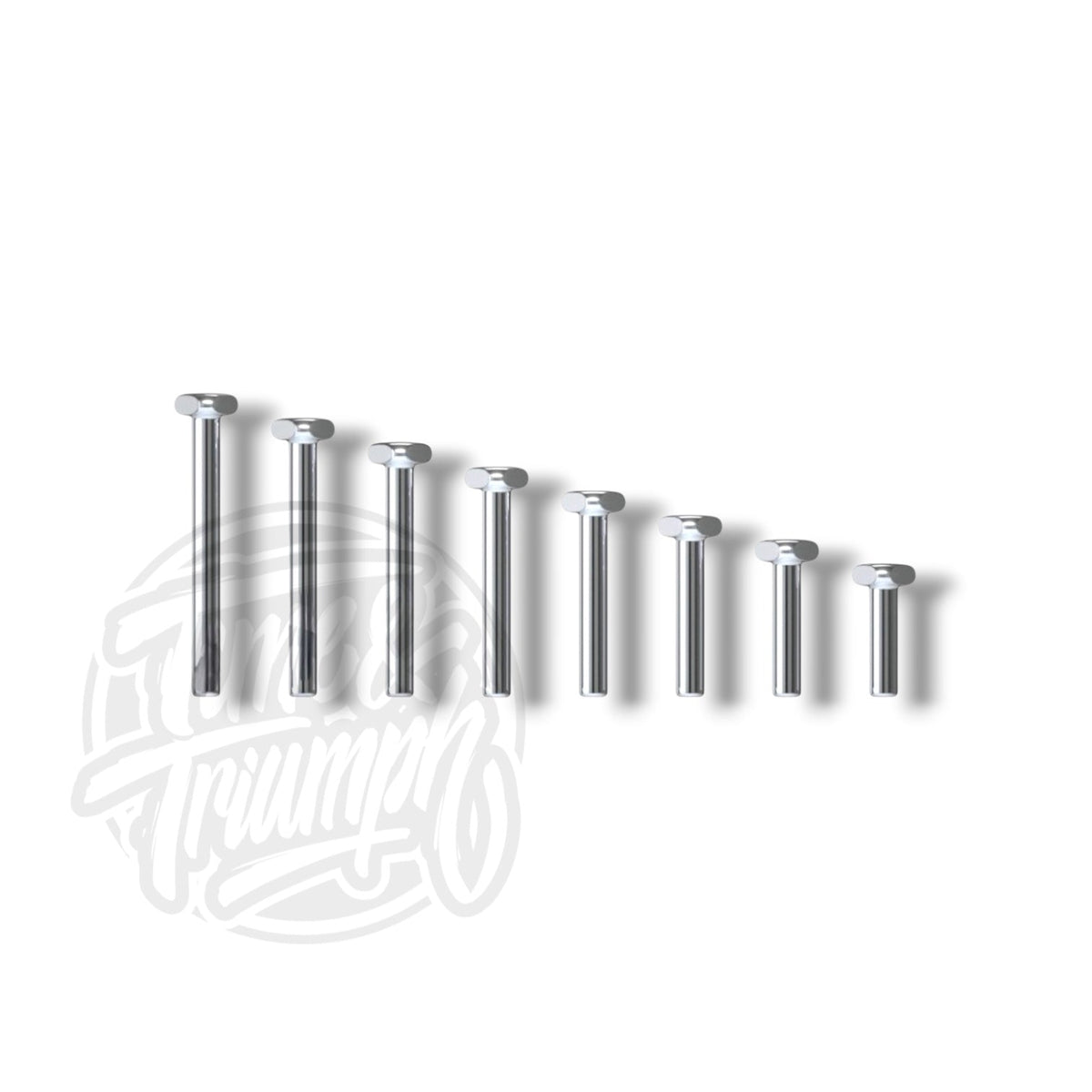 Titanium Labret with Flexternal System - Time & Triumph