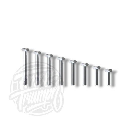 Titanium Labret with Flexternal System - Time & Triumph