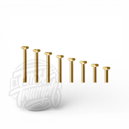 Titanium Anodised Labret with Flexternal System - Time & Triumph