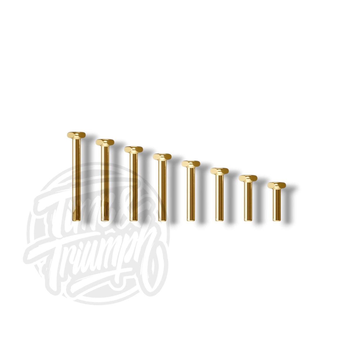 Titanium Anodised Labret with Flexternal System - Time & Triumph
