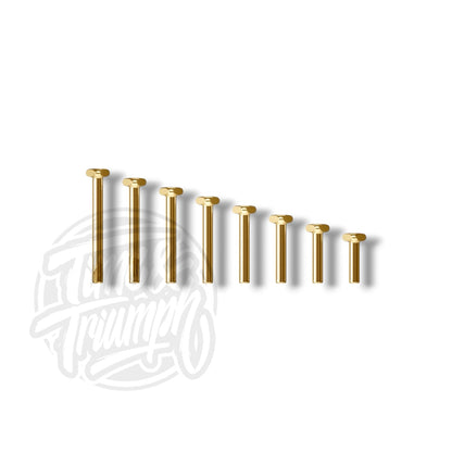 Titanium Anodised Labret with Flexternal System - Time & Triumph